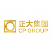 正大集团
